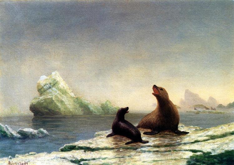 Albert Bierstadt Oil Painting Seals - Click Image to Close